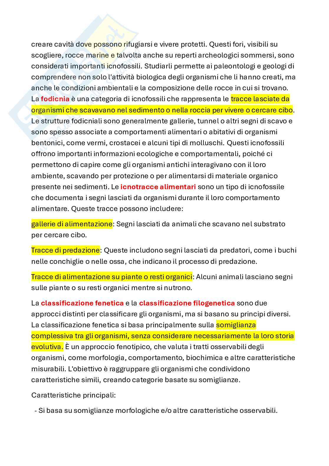 Appunti di Paleontologia con laboratorio Pag. 16