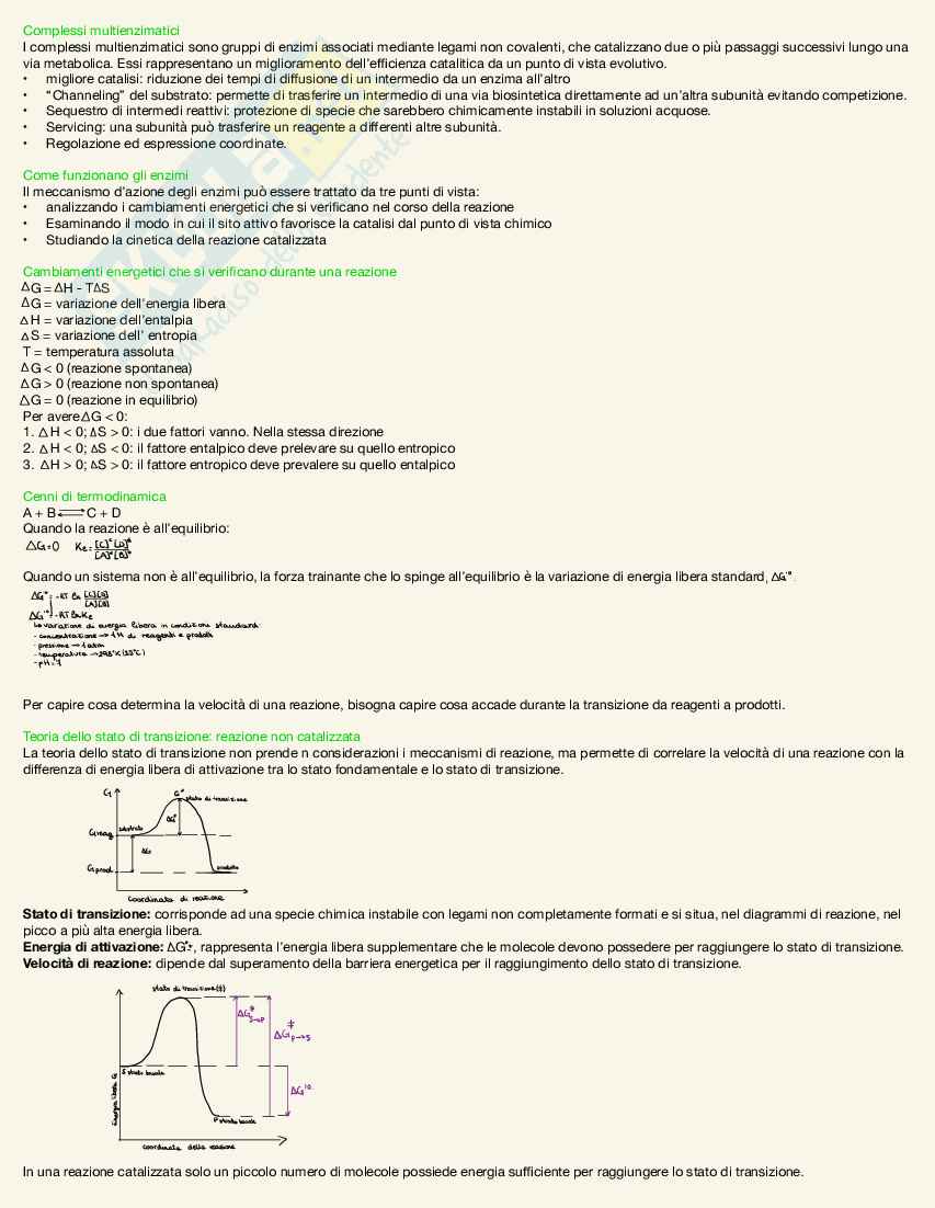Appunti Biochimica  Pag. 11