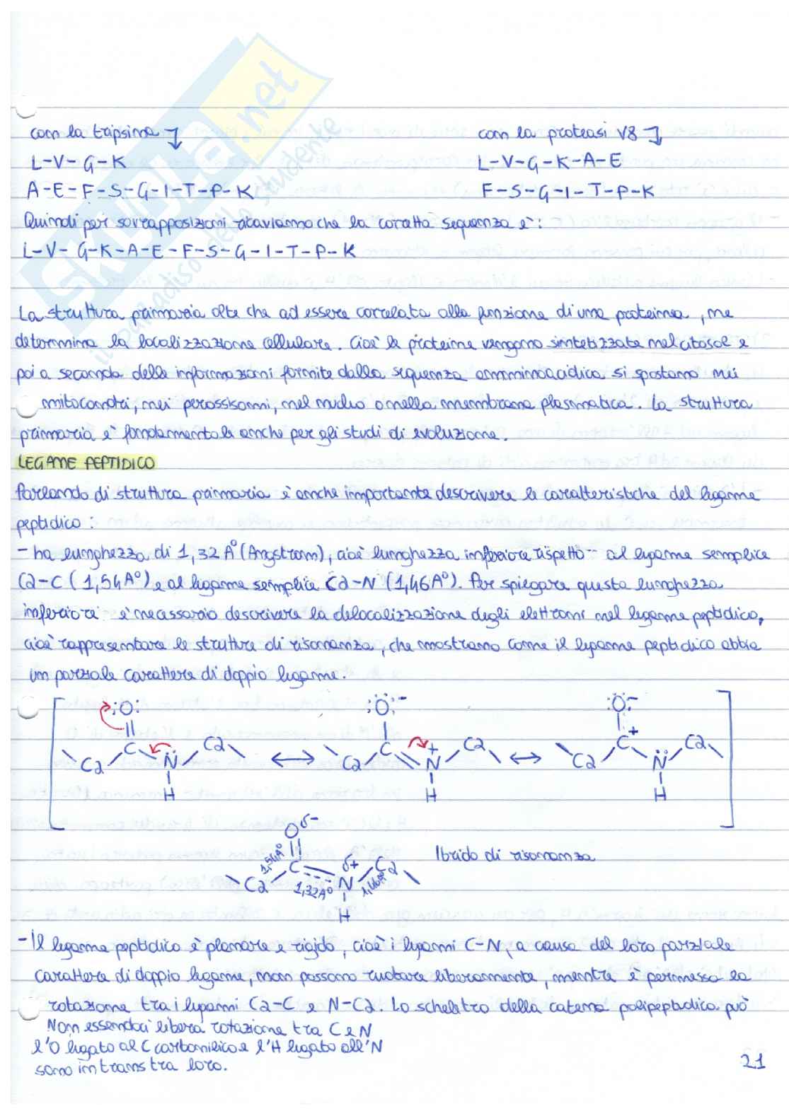 Biochimica - parte 1 Pag. 21