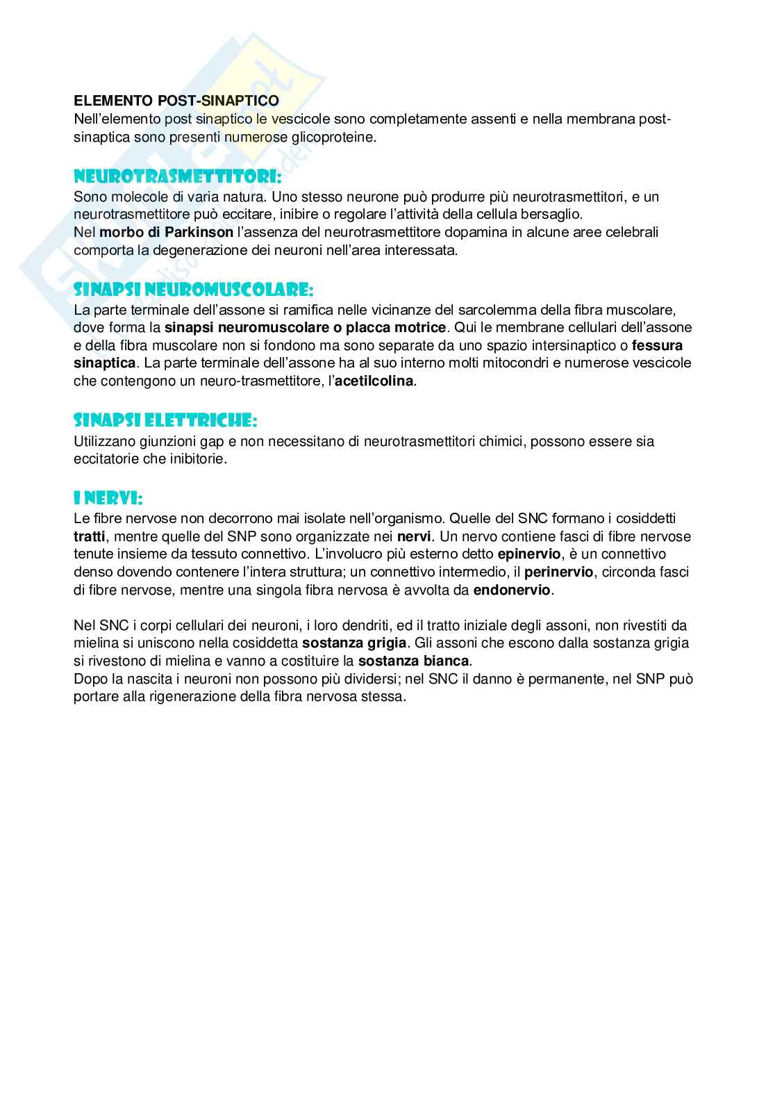 Riassunto esame Microbiologia generale e applicata, Prof. Baroni Tiziano, libro consigliato Istologia ed Embriologia umana , Tiziano Baroni  Pag. 36