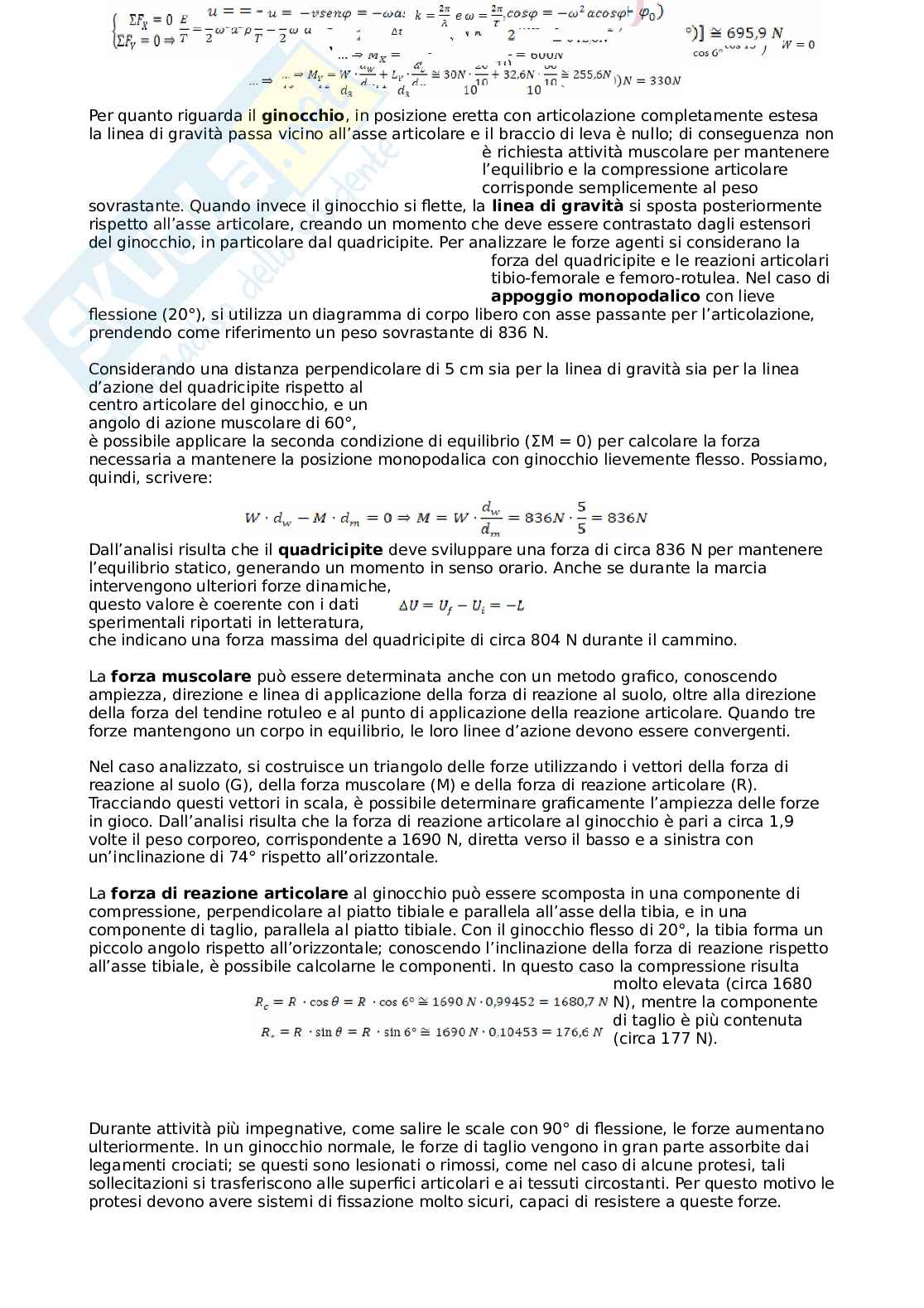 Fondamenti di biomeccanica del movimento umano Pag. 91