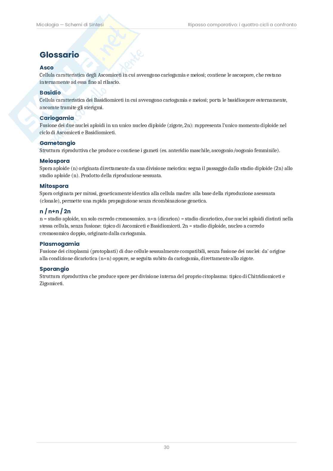 Micologia – Schemi e cicli biologici delle 25 figure d'esame   Pag. 31