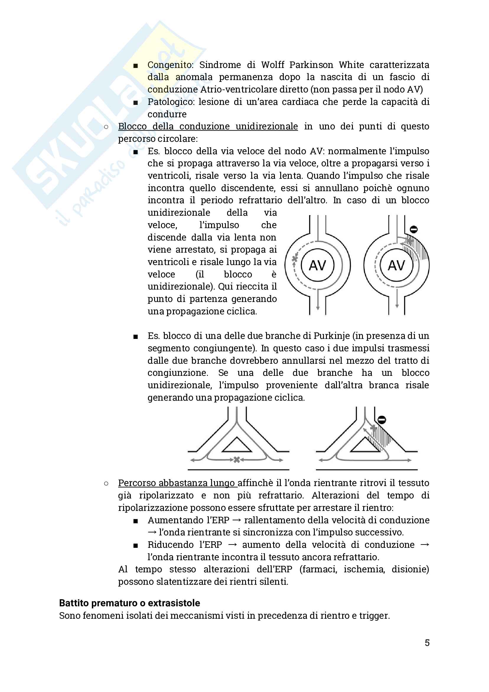 Appunti di cardiologia Pag. 6