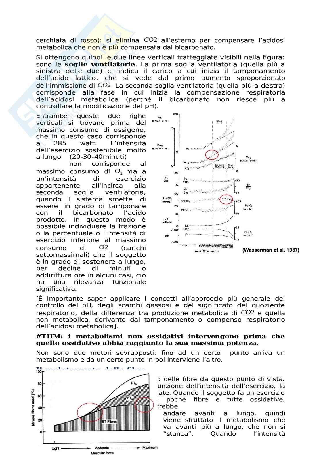 Fisiologia dell'esercizio Pag. 31