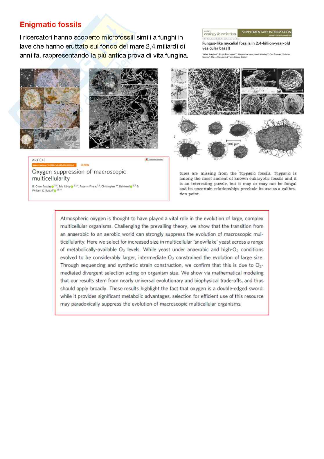 Botanica 1 Pag. 26