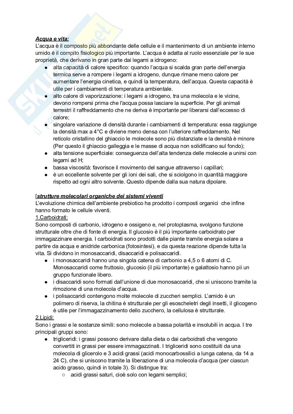 Appunti di Zoologia Pag. 1
