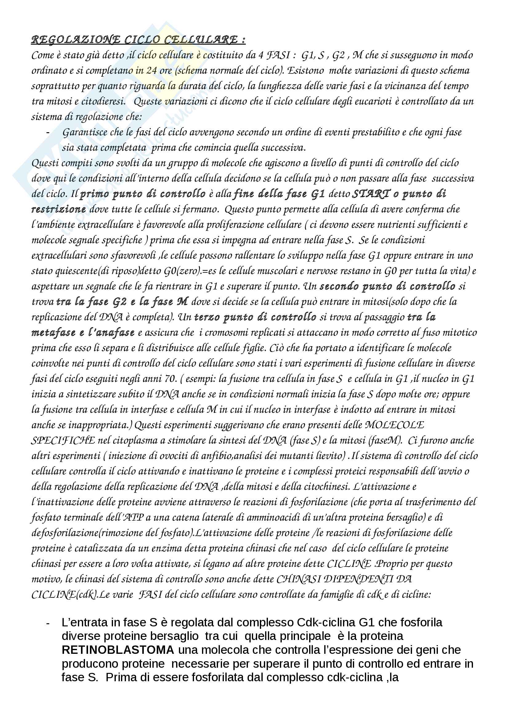 Regolazione ciclo cellulare - riassunto per esame biologia e genetica prof. Cicchini-Maione canale D medicina Pag. 1