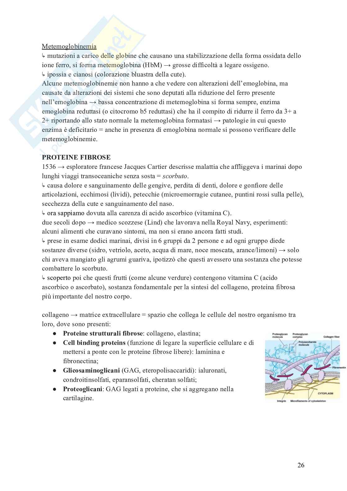 Schemi Biochimica II parte I Pag. 26