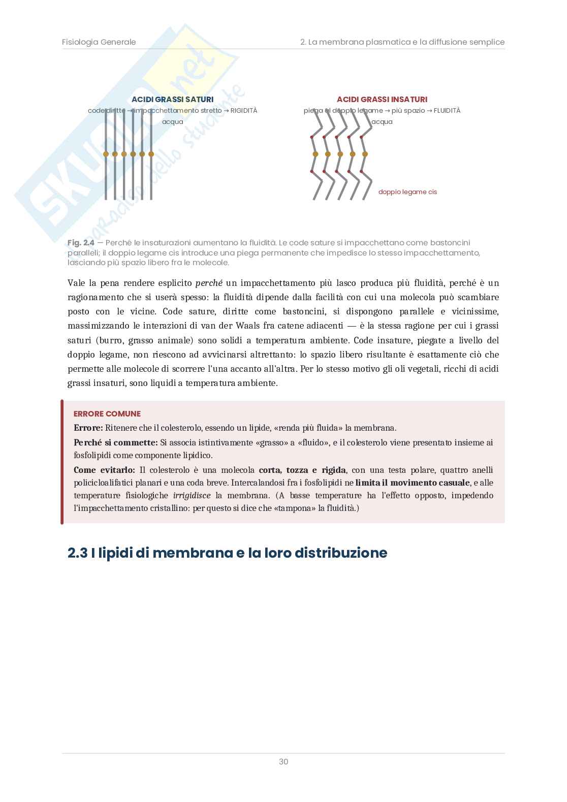Fisiologia generale – Appunti illustrati con schemi e tabelle  Pag. 31