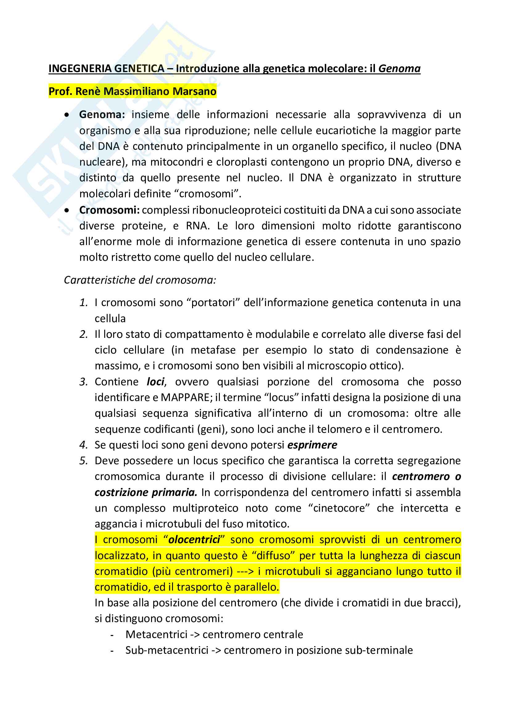 Ingegneria genetica - dal genoma alle moderne tecniche di manipolazione Pag. 1