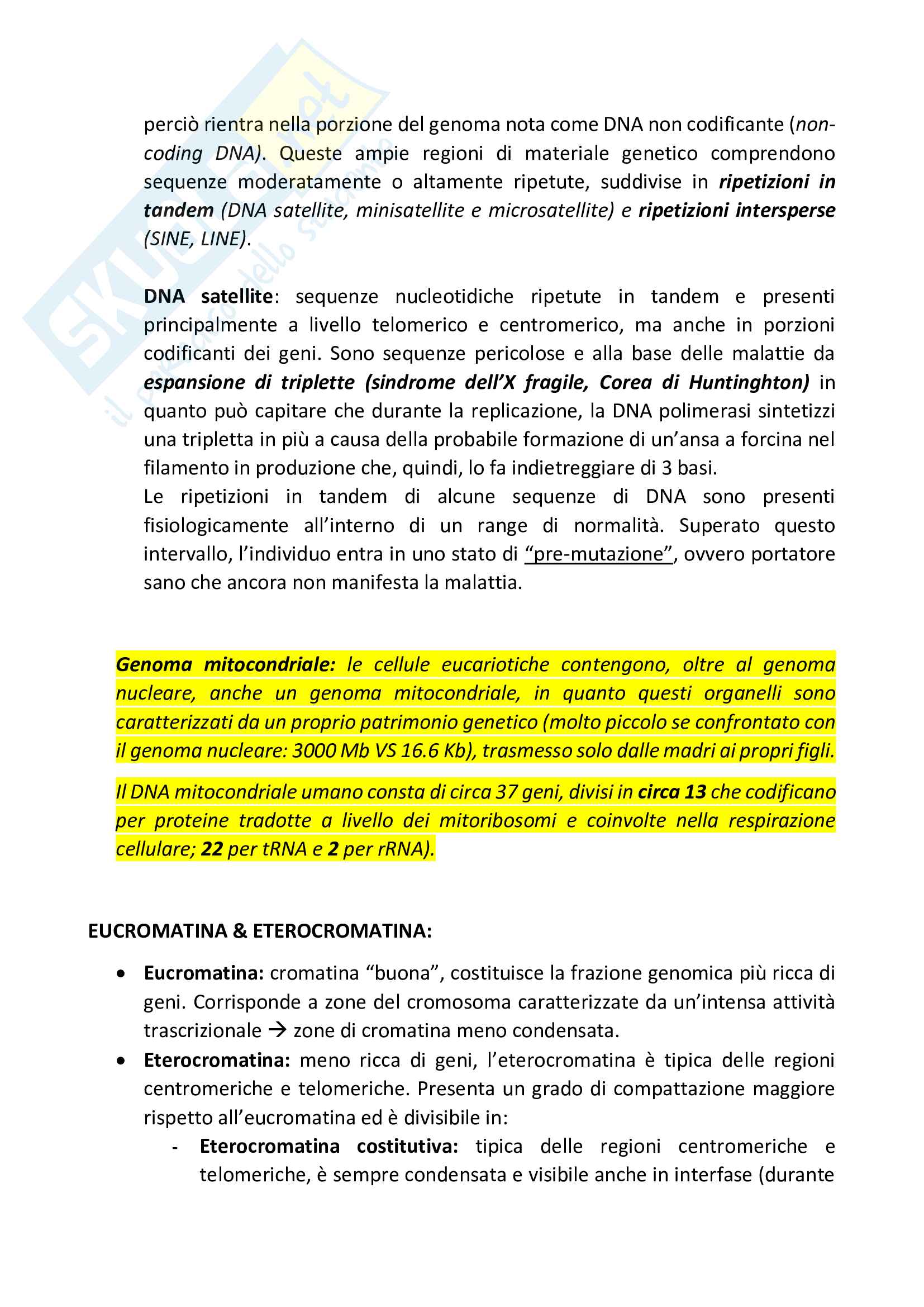 Ingegneria genetica - dal genoma alle moderne tecniche di manipolazione Pag. 16