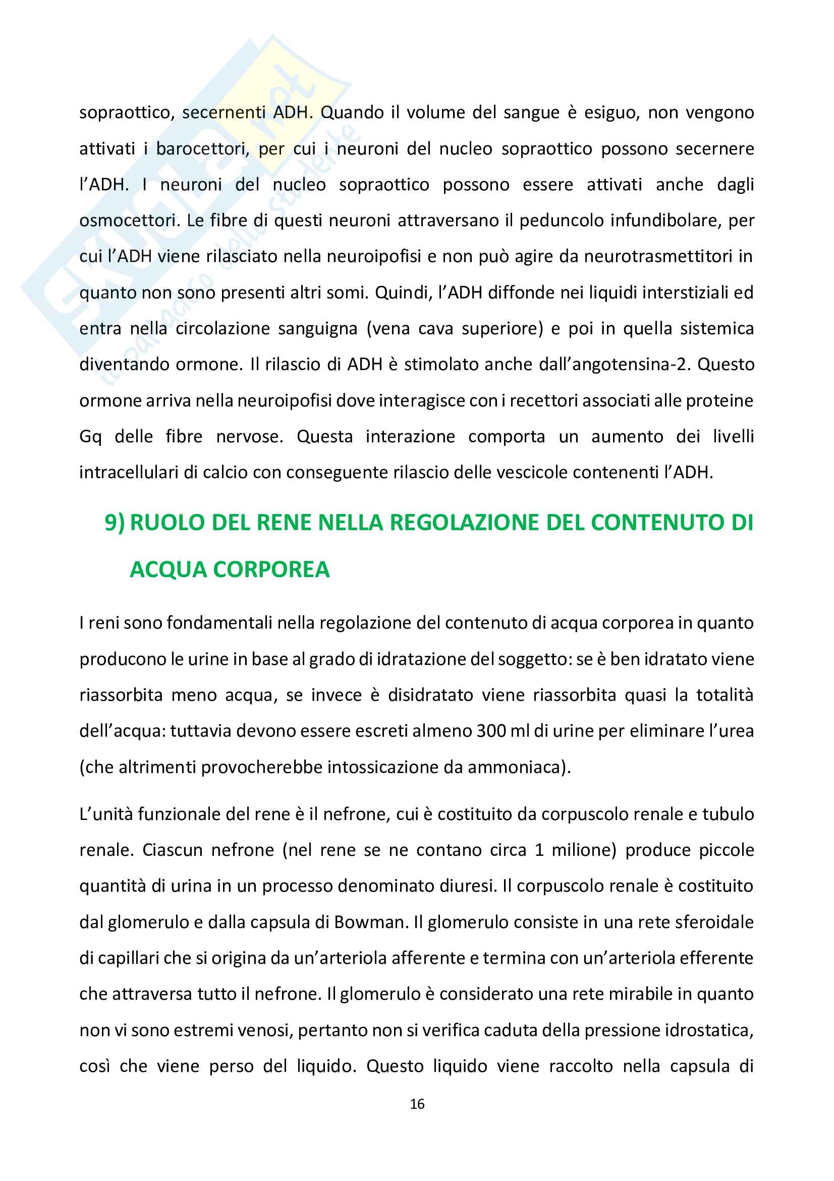 Risposte alle domande più frequenti di "Fisiologia della nutrizione avanzata" Pag. 16