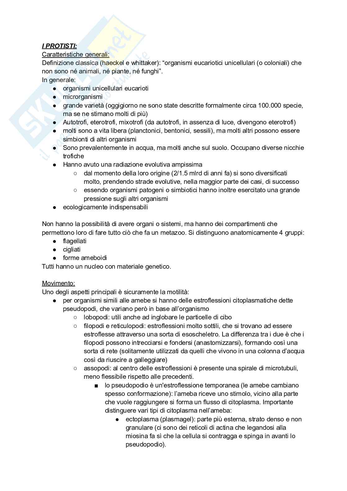 Appunti di lezione di Zoologia Pag. 1