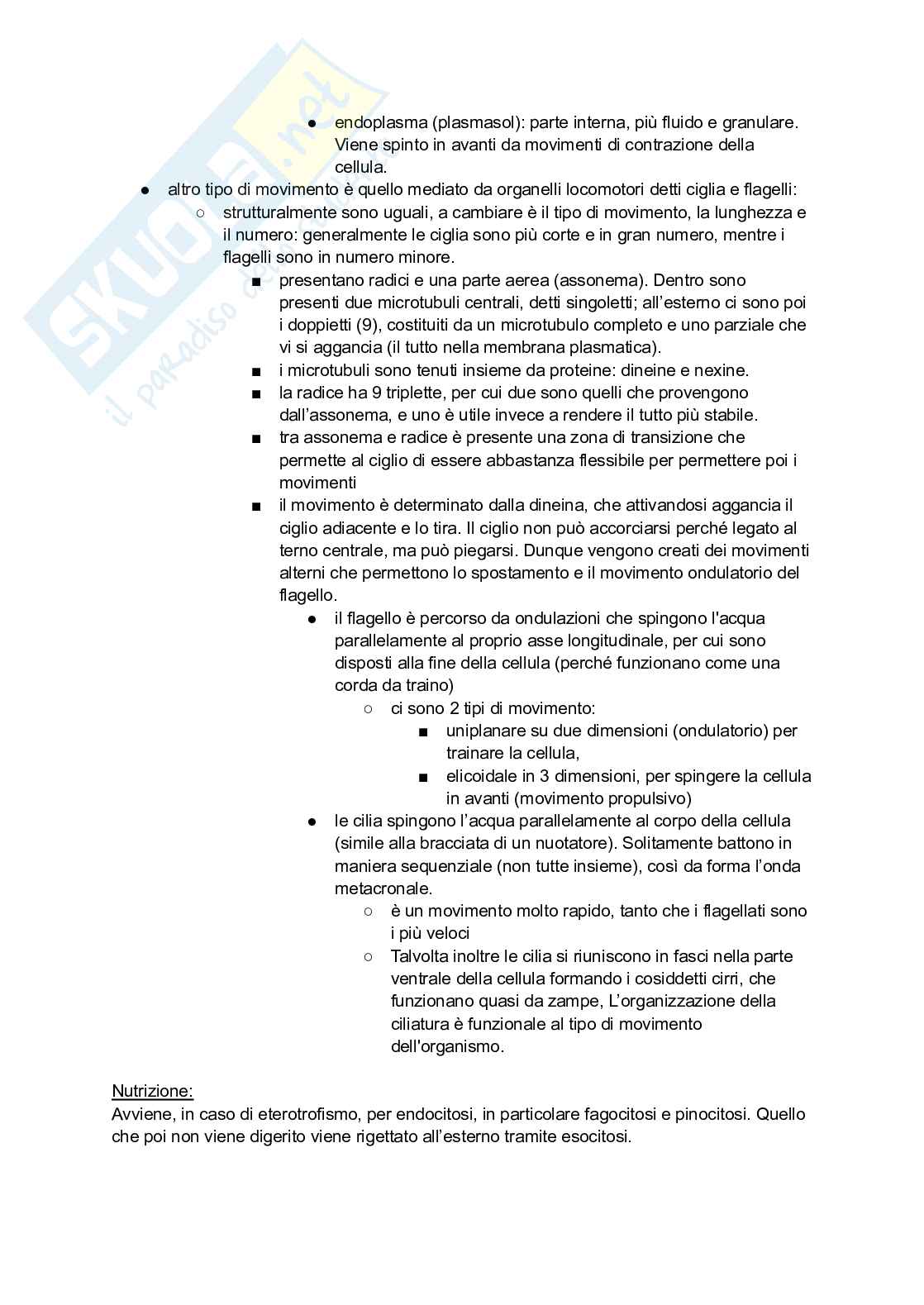 Appunti di lezione di Zoologia Pag. 2