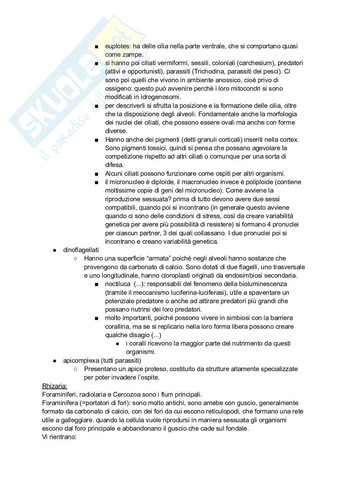 Appunti di lezione di Zoologia Pag. 6