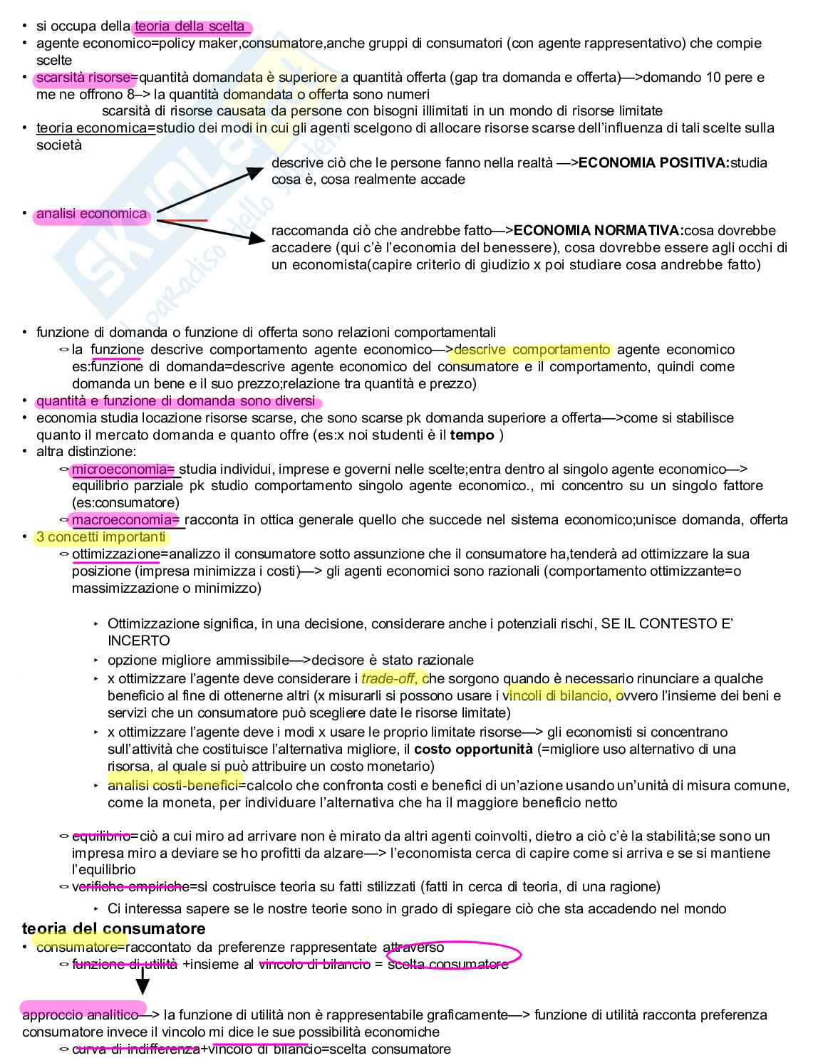 Economia politica  Pag. 1