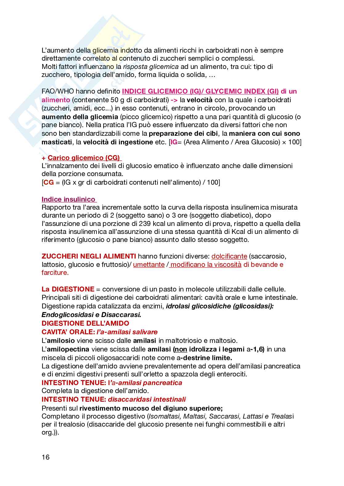 Appunti di Scienze dell'alimentazione Pag. 16