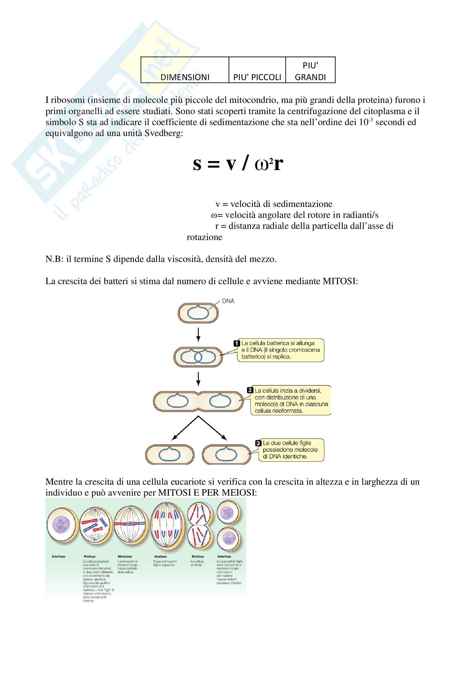 Riassunto esame Biologia dei microrganismi, prof. Mora Pag. 2
