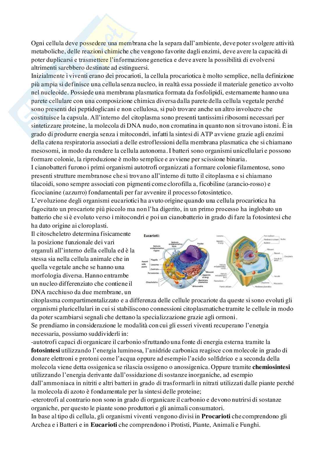 Appunti di Botanica generale Pag. 2