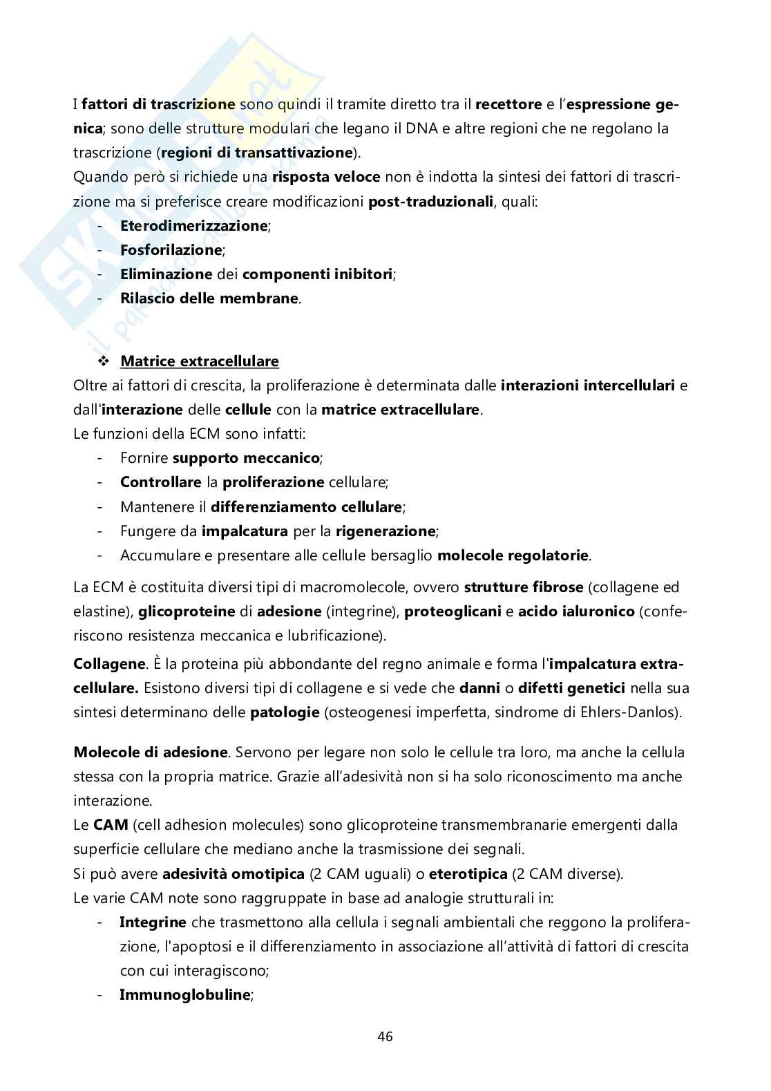 Patologia generale Pag. 46
