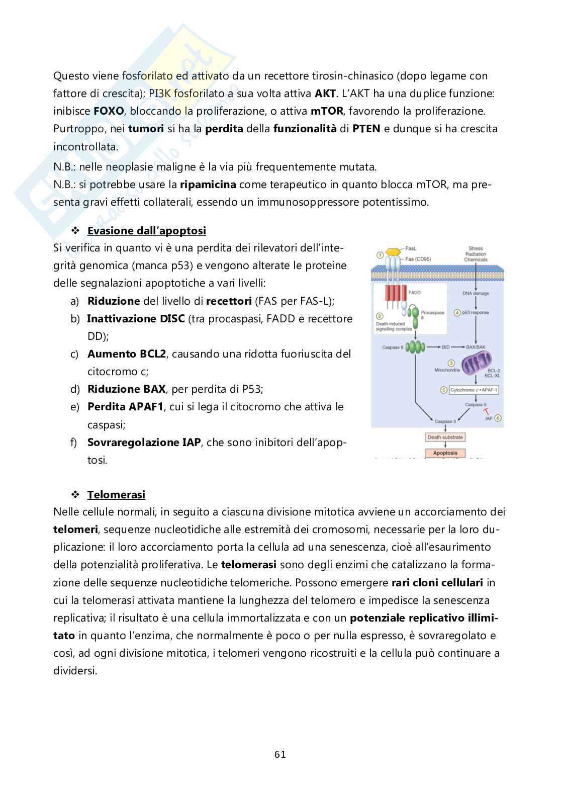 Patologia generale Pag. 61