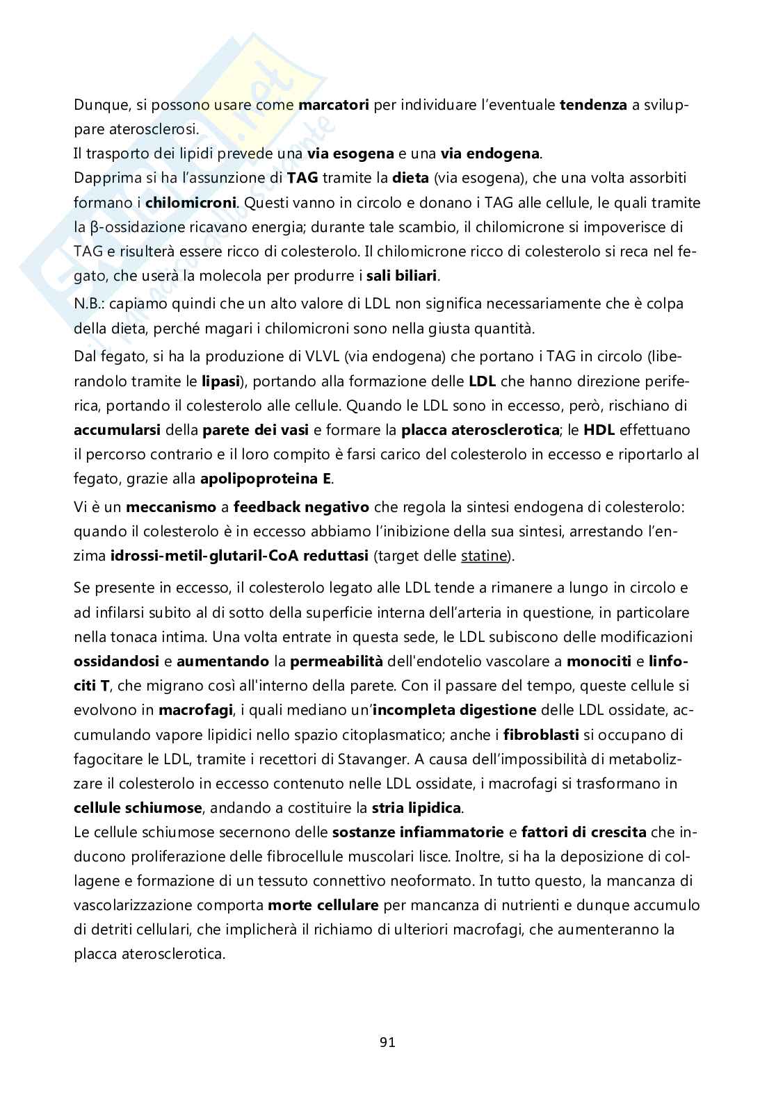 Patologia generale Pag. 91