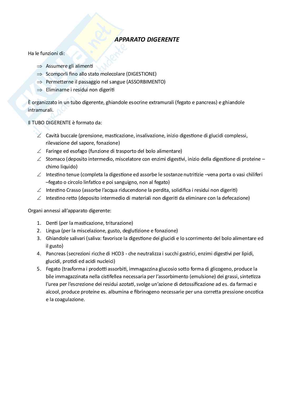 Anatomia umana Pag. 21