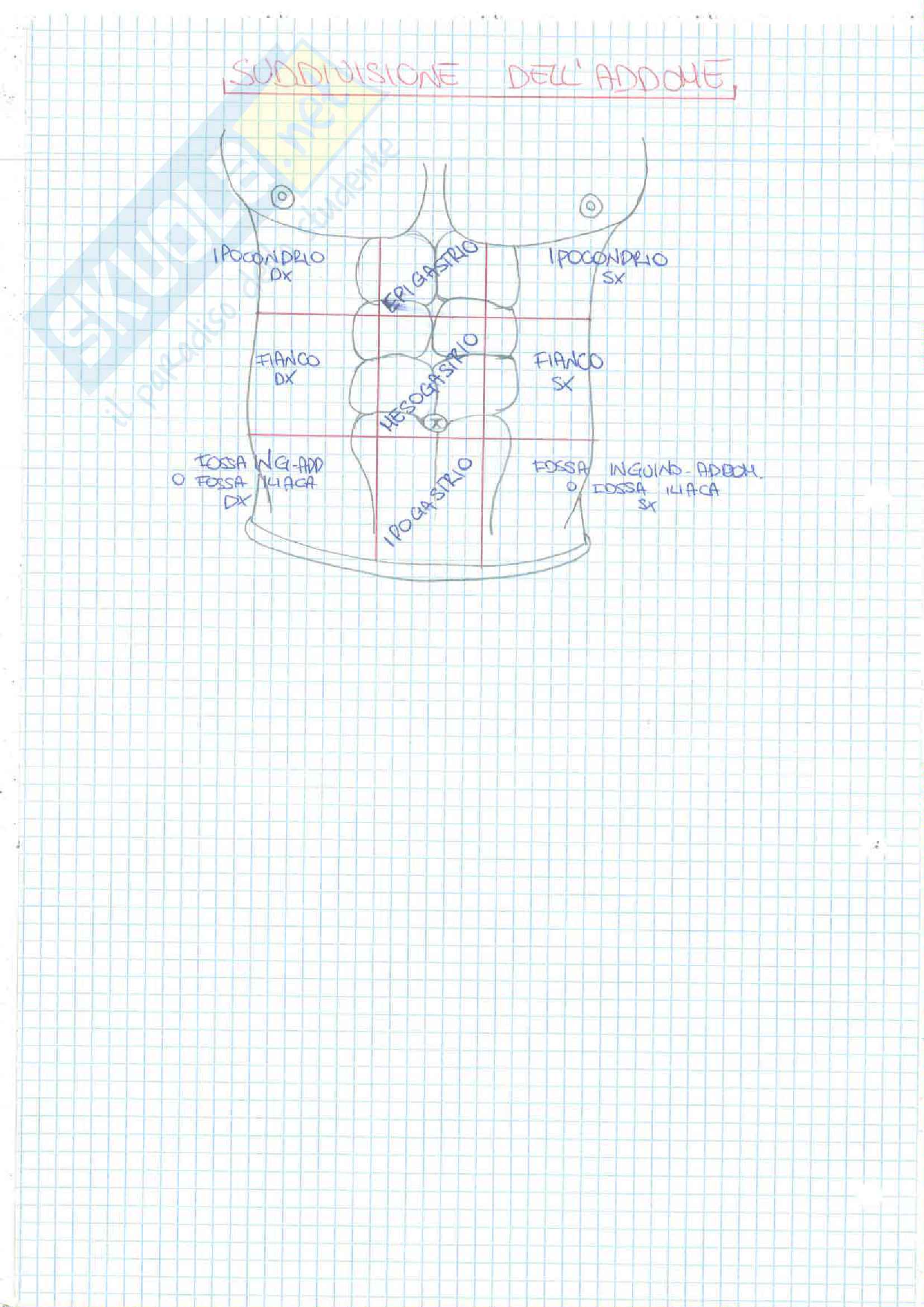 4 Esonero (Apparato Digerente,Urinario, Sistema Nervoso) Pag. 6