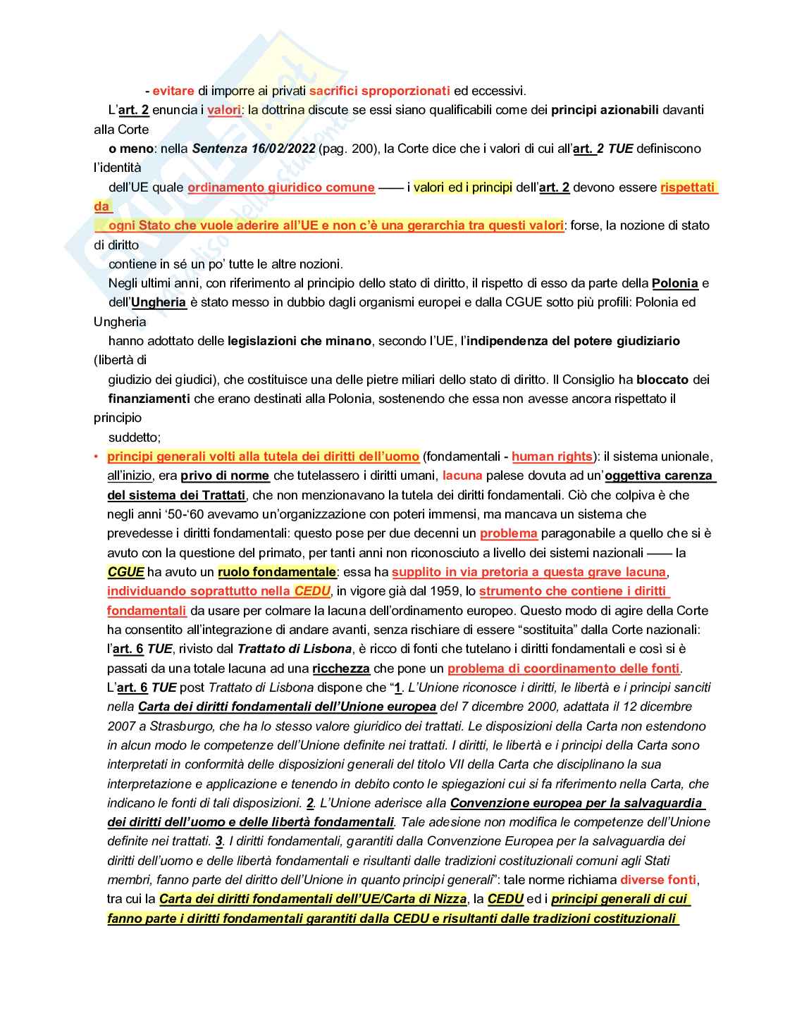 Diritto europeo  Pag. 46