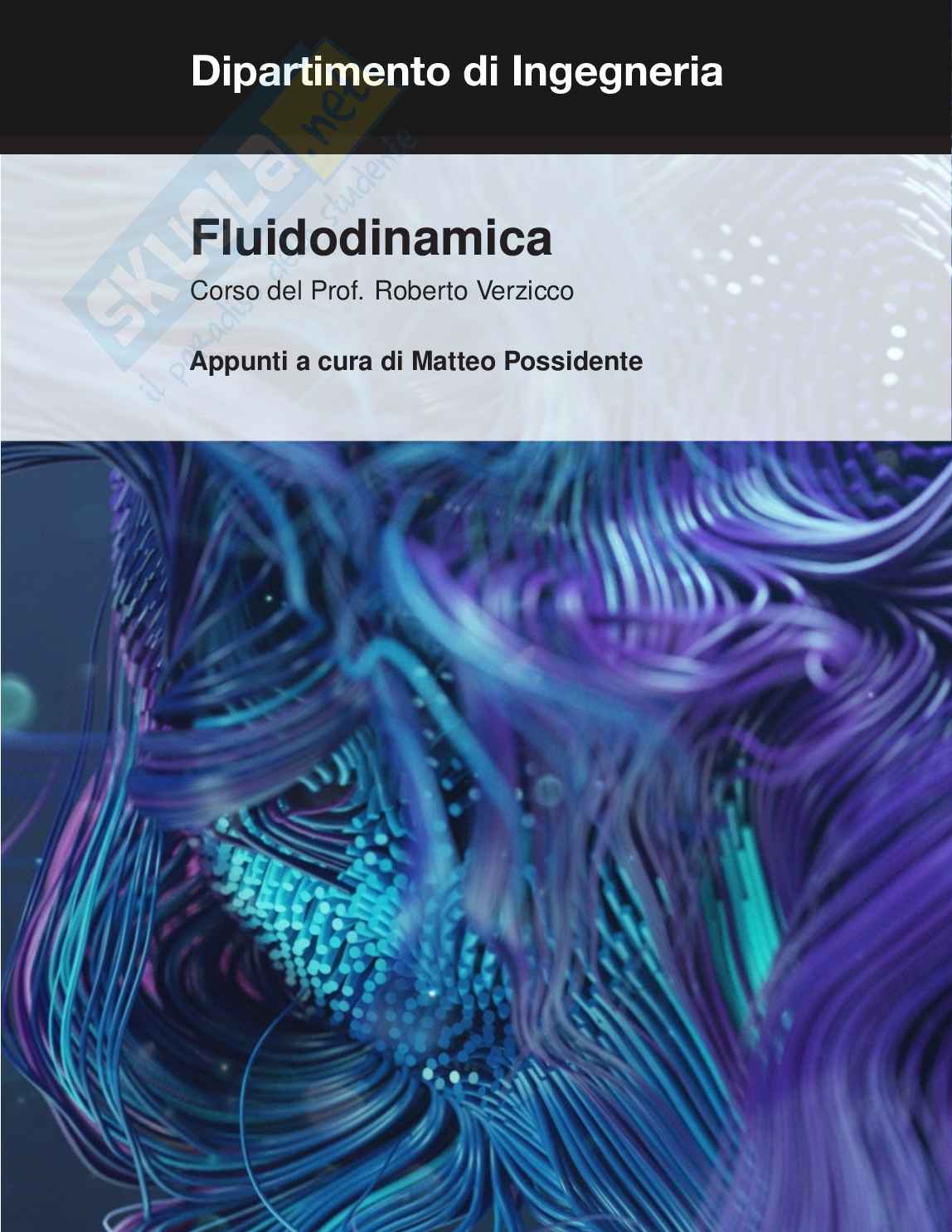 Appunti di Fluidodinamica - Parte 2 Pag. 1