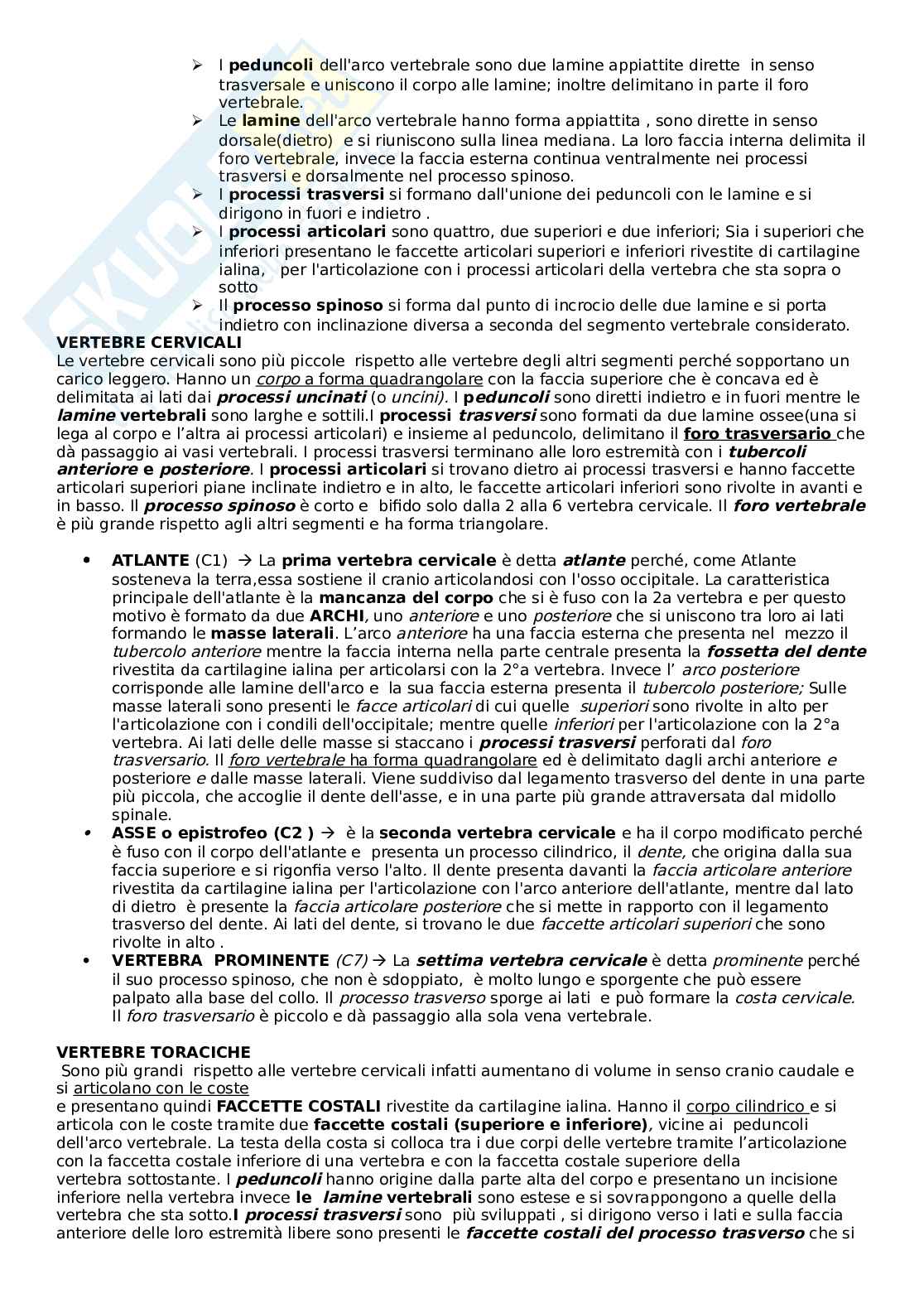 Ossa, rachide e articolazioni  -  Riassunto esame Anatomia canale D medicina - prof. Vaccaro, libro consigliato Anastasi Pag. 2