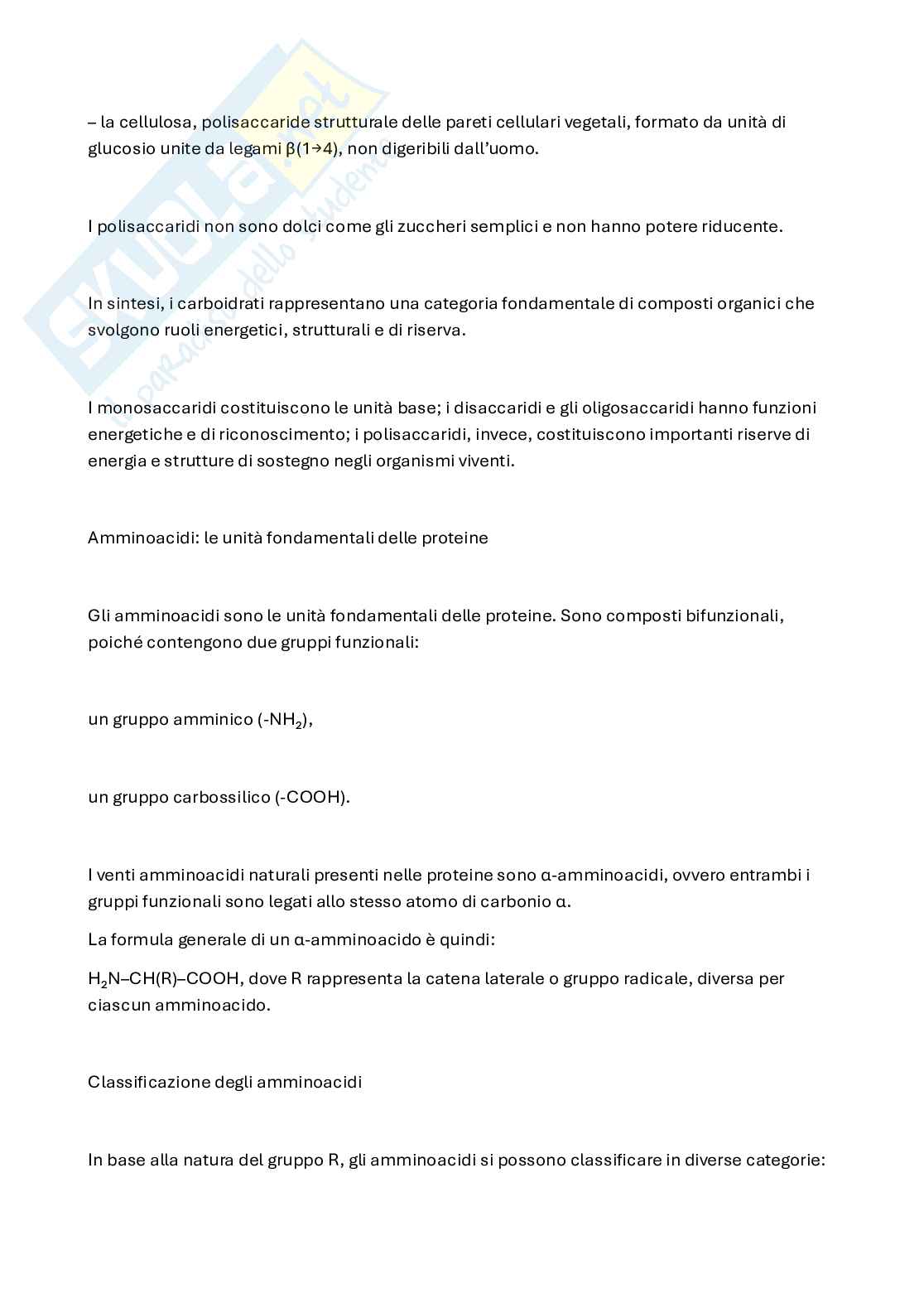 Chimica e propedeutica biochimica Pag. 41