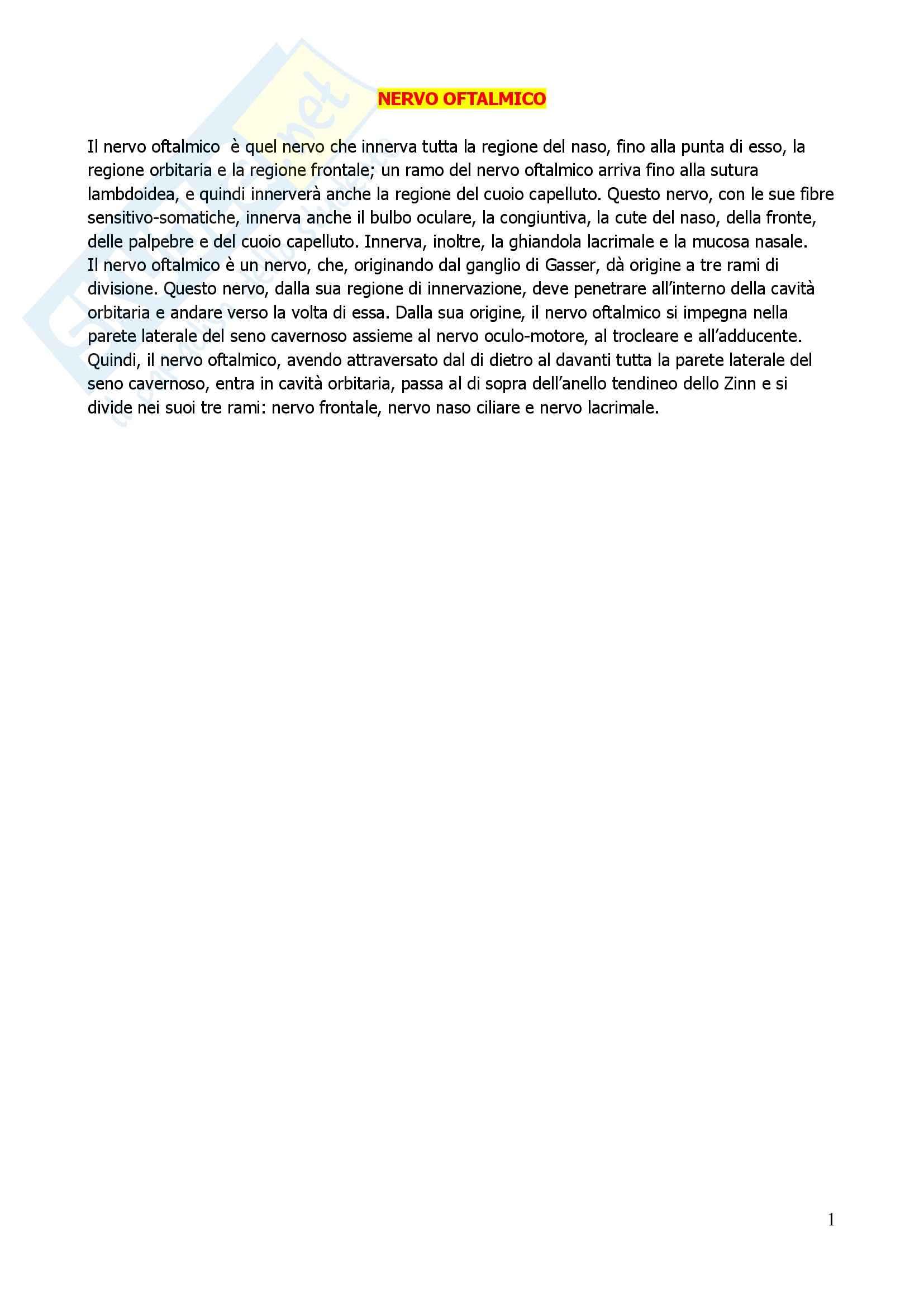 Neuroanatomia - Appunti Pag. 1
