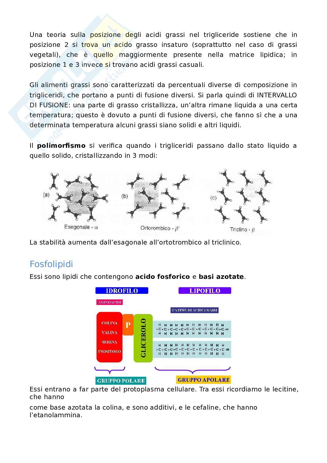 Appunti Analisi chimiche dei prodotti alimentari  Pag. 26