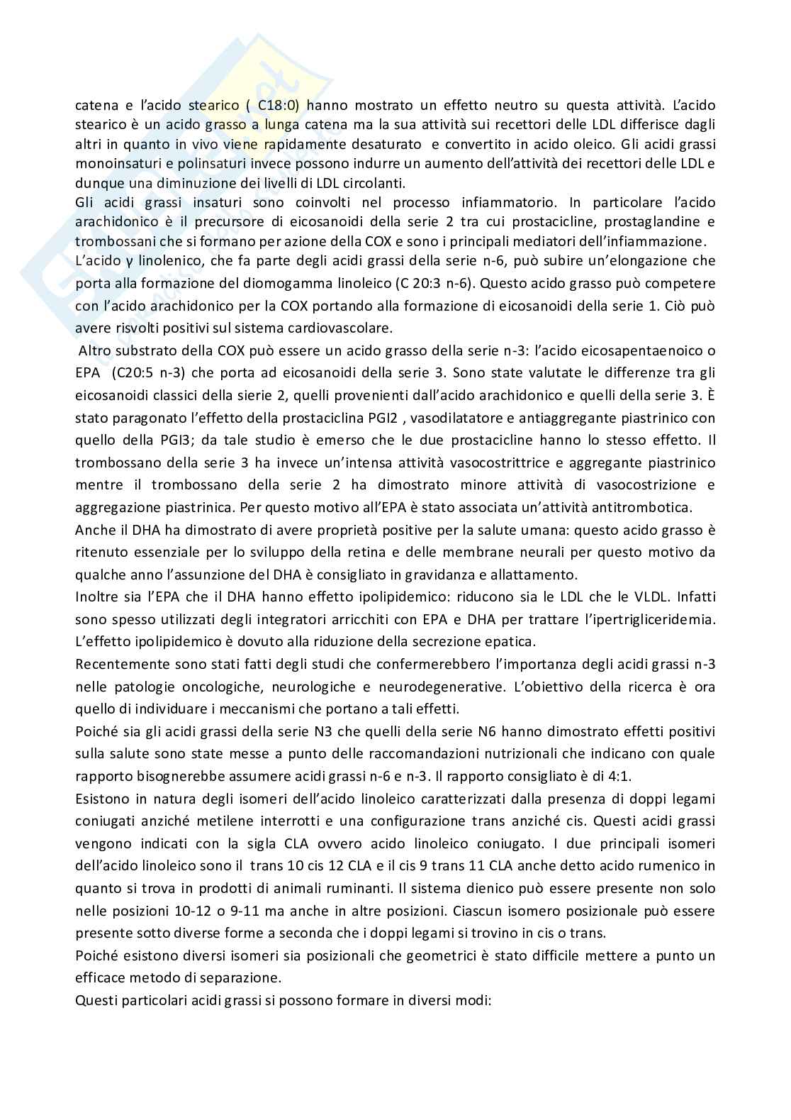 Appunti chimica bromatologica Pag. 26