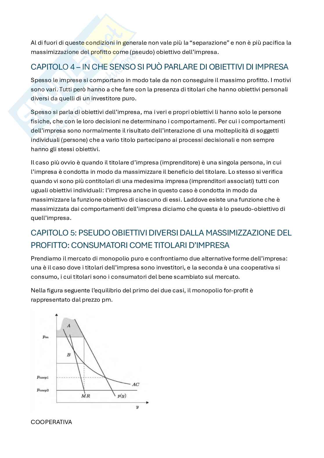 Appunti di Economia dell'organizzazione  Pag. 11