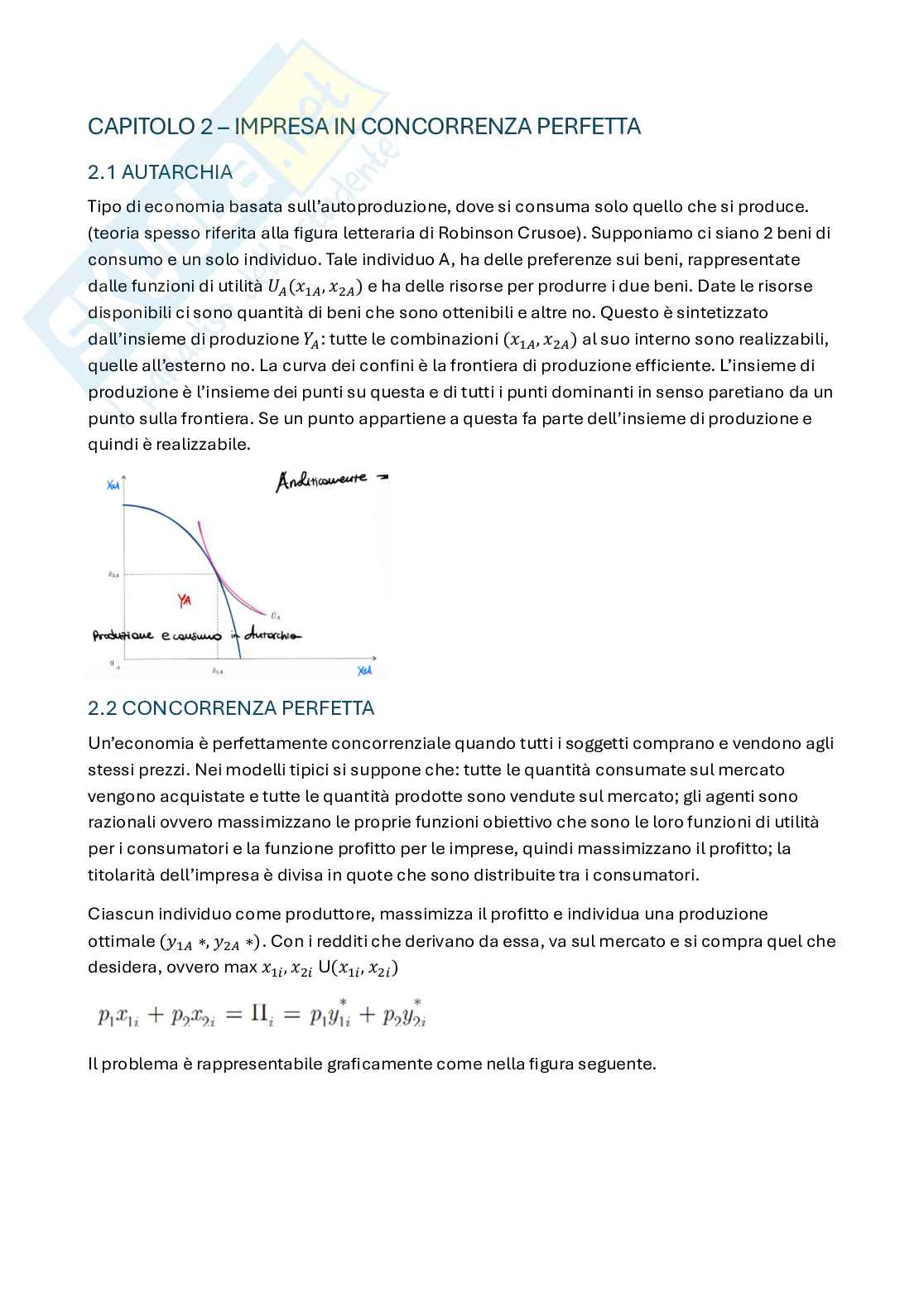 Appunti di Economia dell'organizzazione  Pag. 6