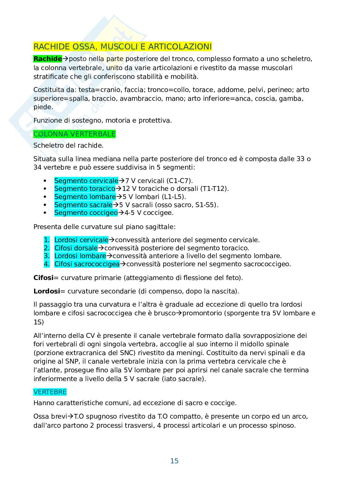 Anatomia umana, antropometria e postura Pag. 16