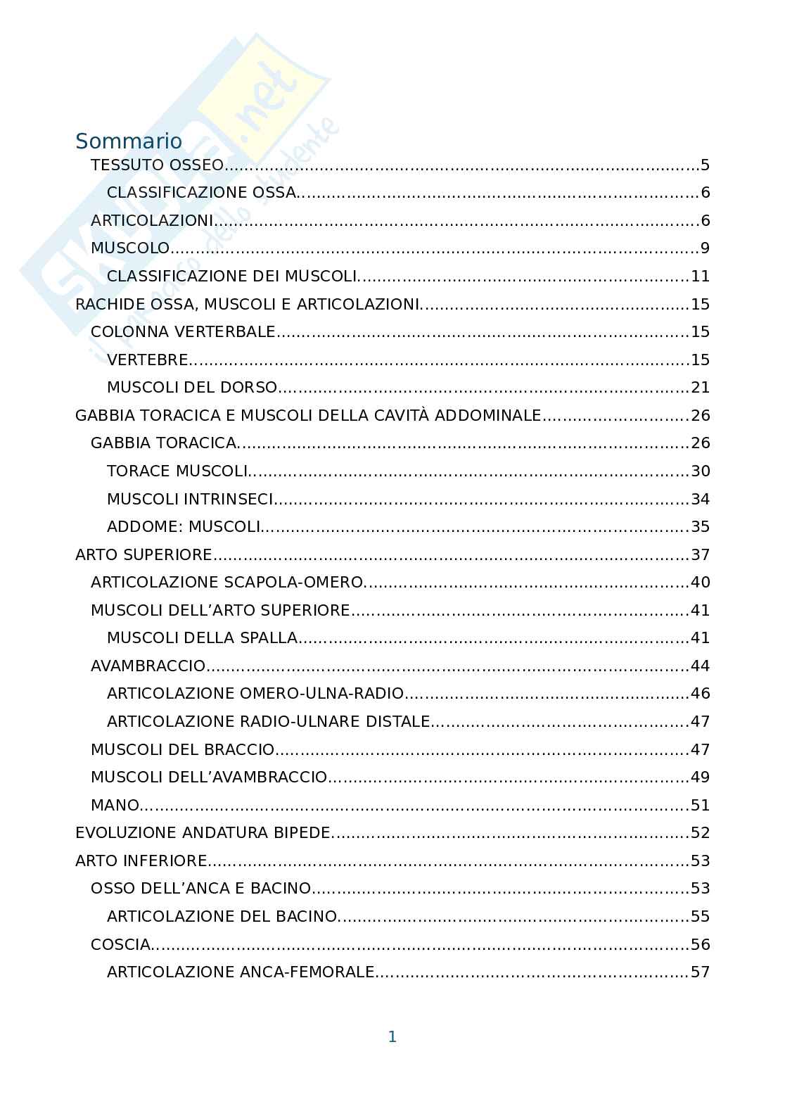 Anatomia umana, antropometria e postura Pag. 2