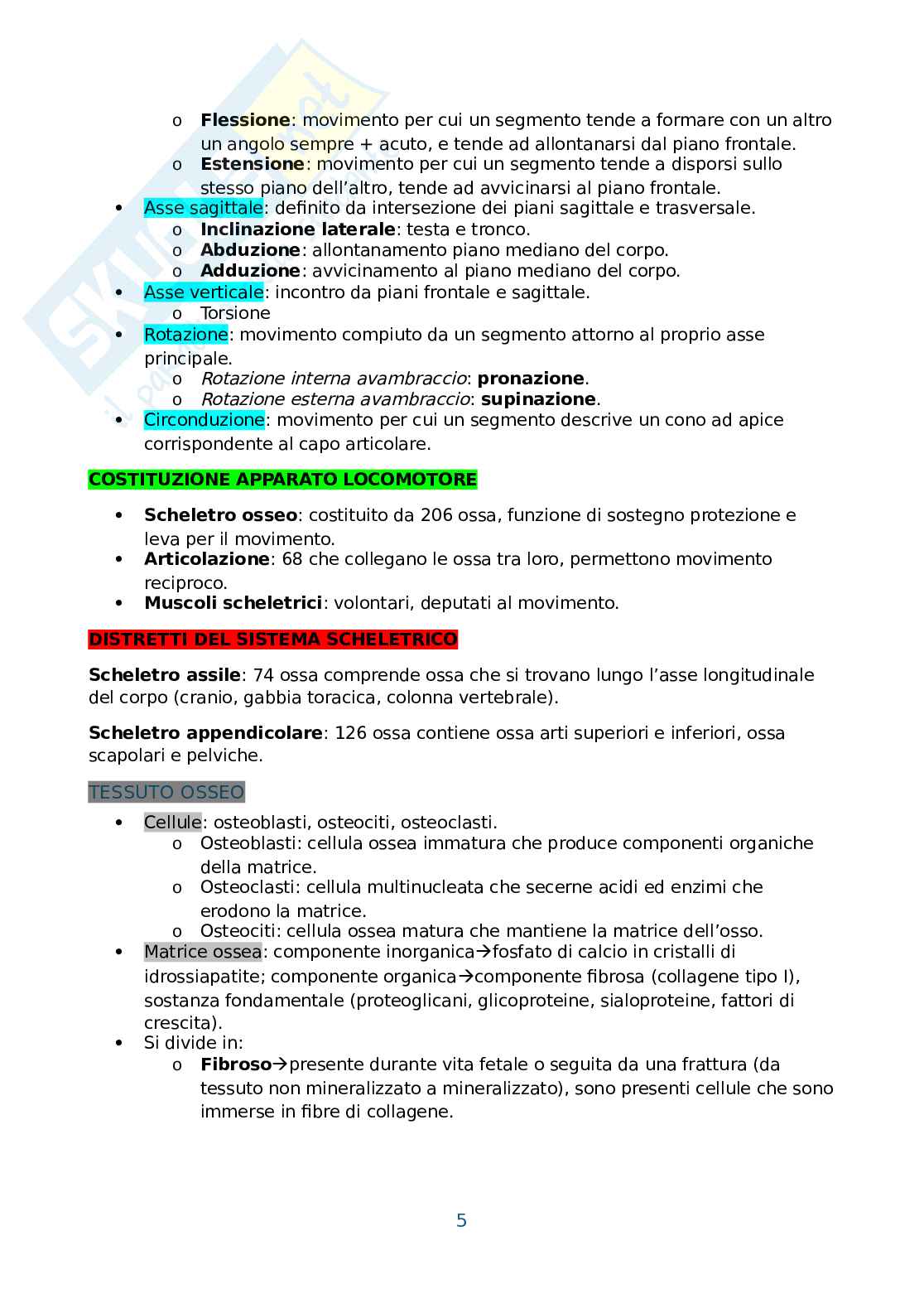 Anatomia umana, antropometria e postura Pag. 6