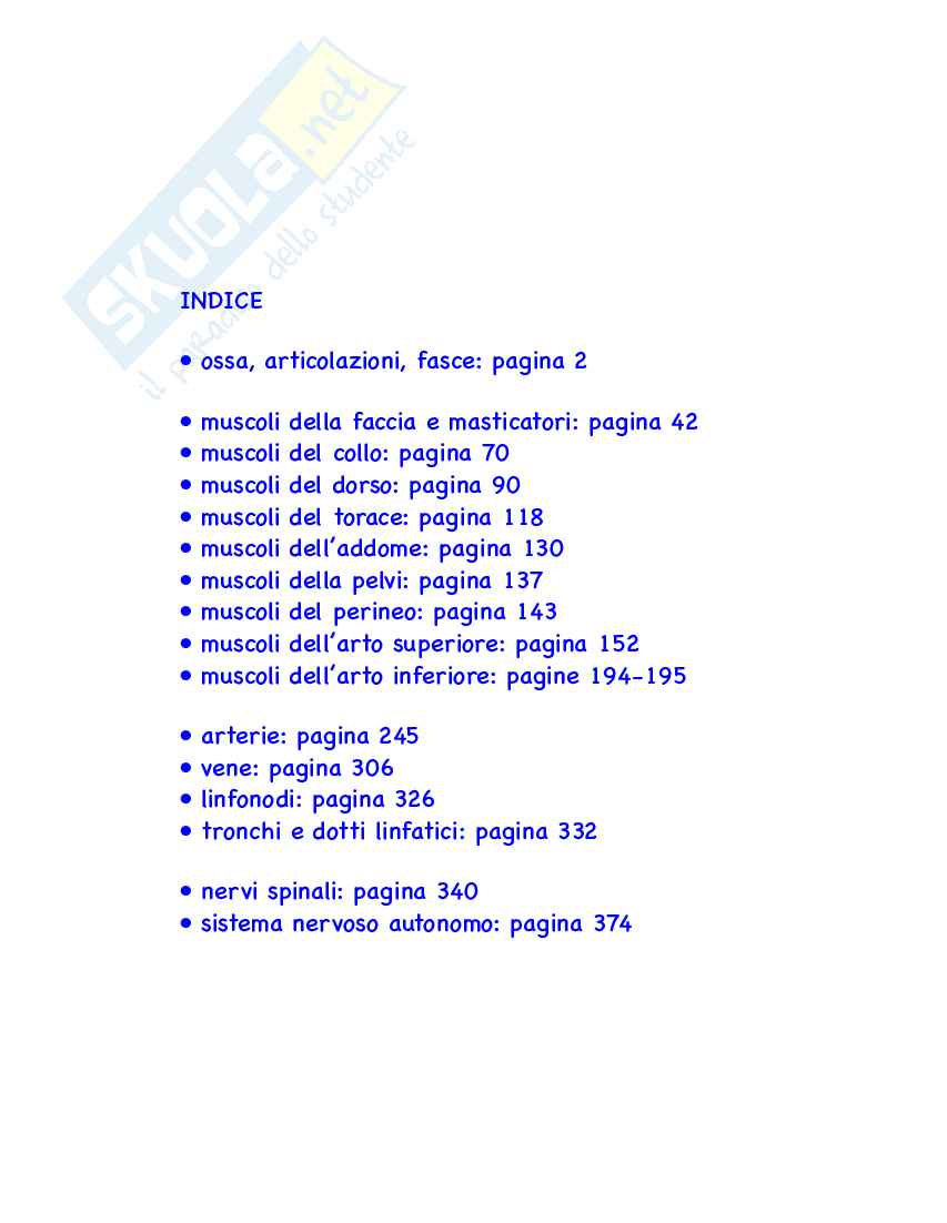 Flashcard Anatomia umana I Pag. 1