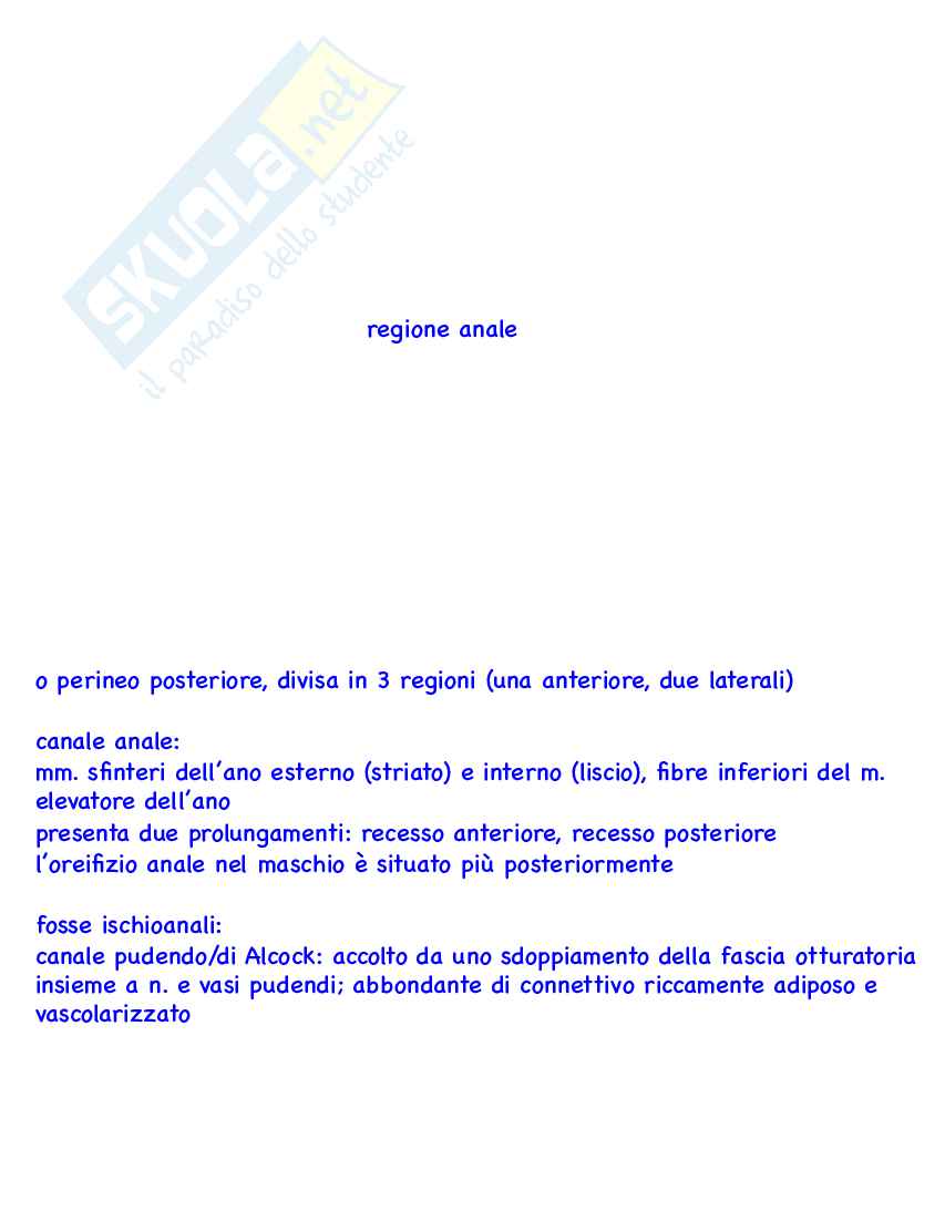 Flashcard Anatomia umana I Pag. 21