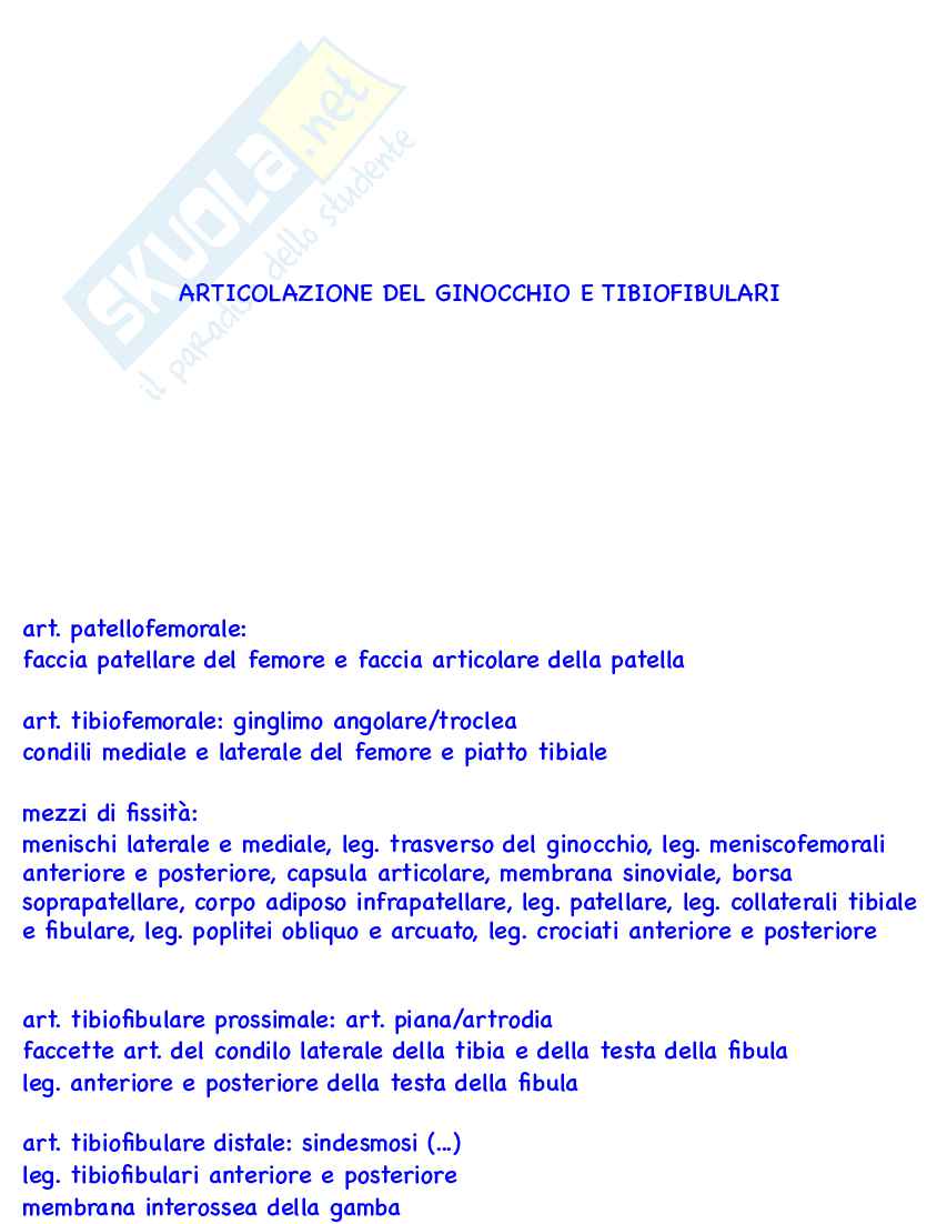 Flashcard Anatomia umana I Pag. 36