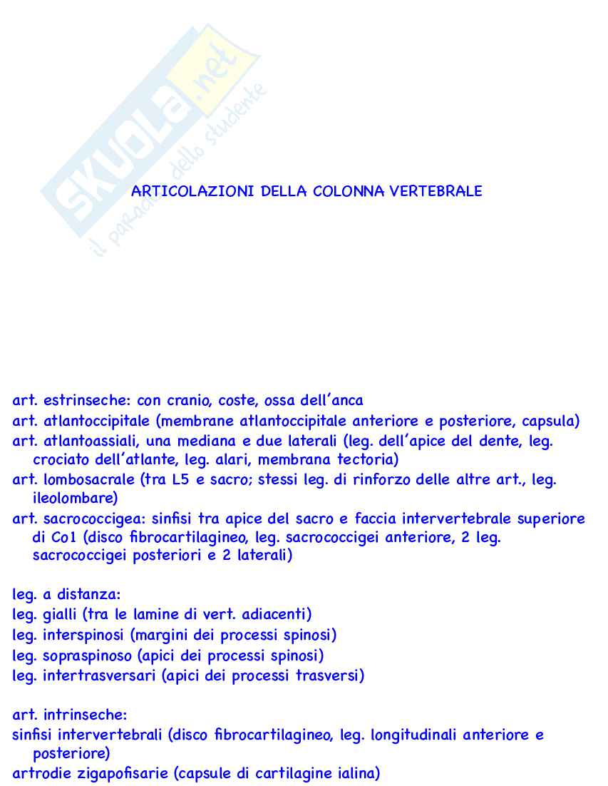 Flashcard Anatomia umana I Pag. 6