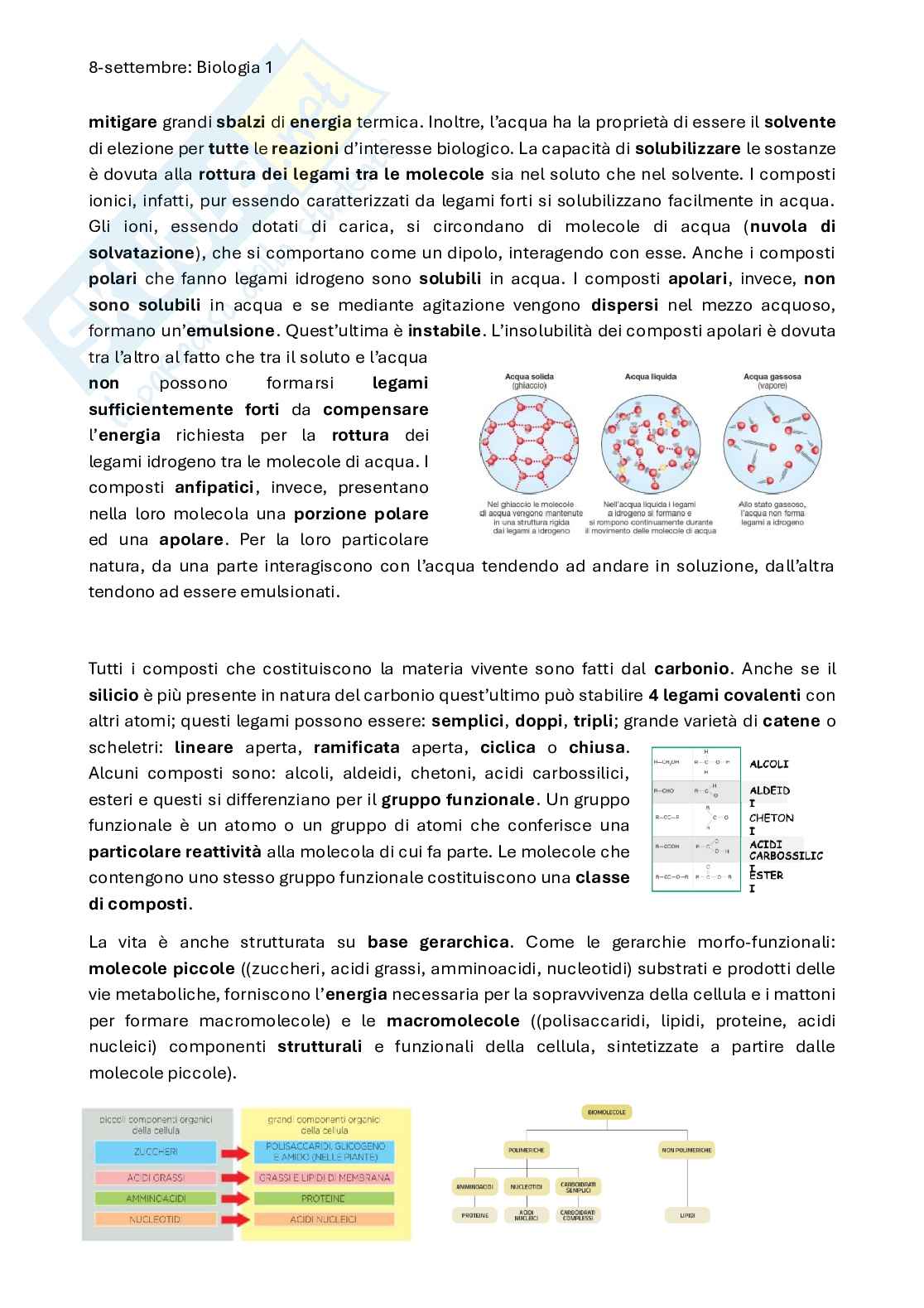 Biologia e genetica - Introduzione Pag. 11