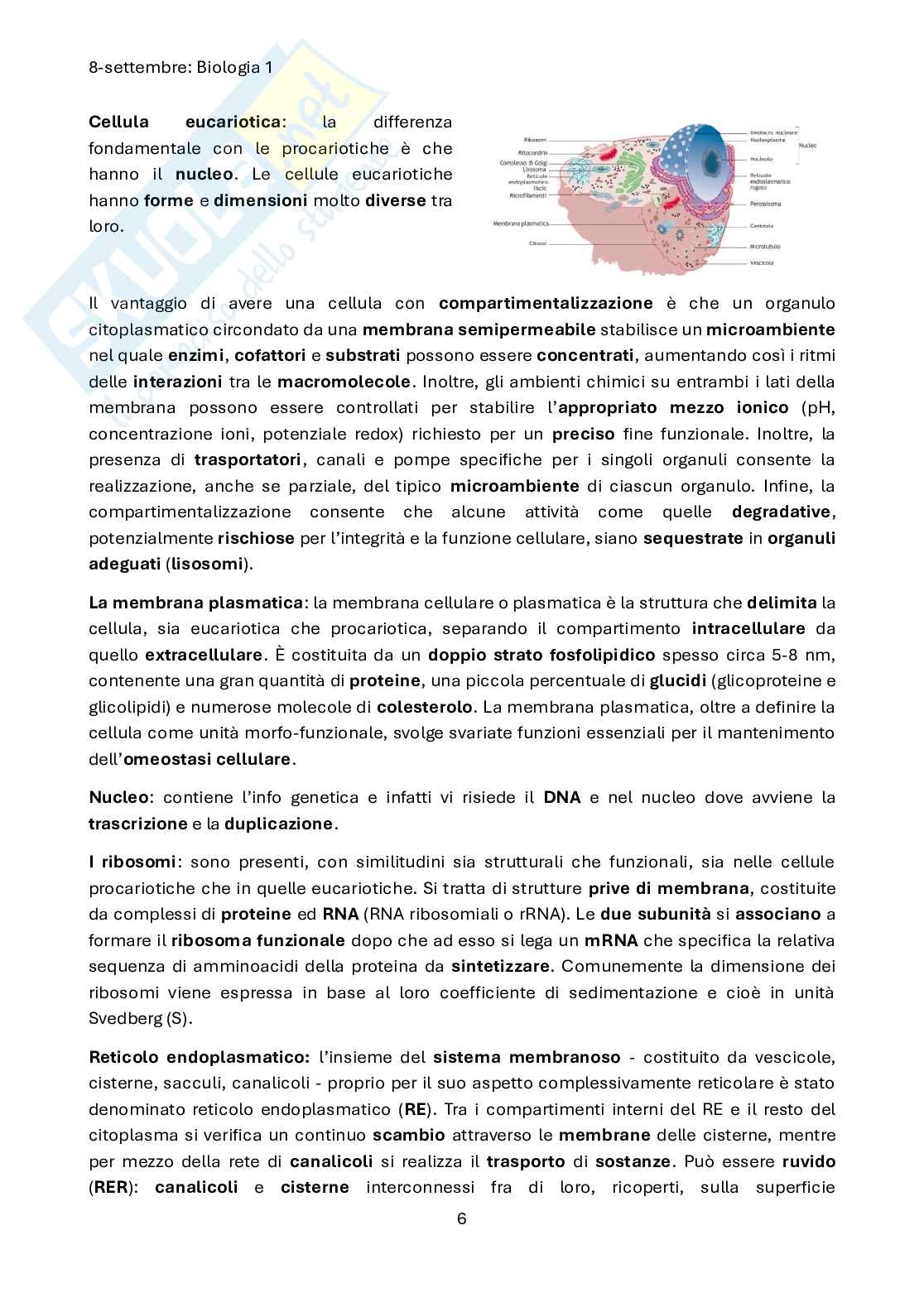 Biologia e genetica - Introduzione Pag. 6