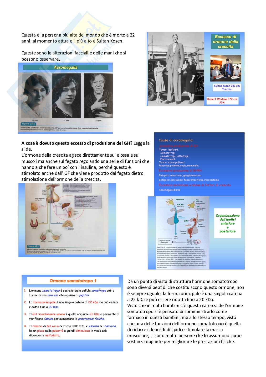Farmacoterapia 2 - Parte 2 di 4 sugli ormoni Pag. 1