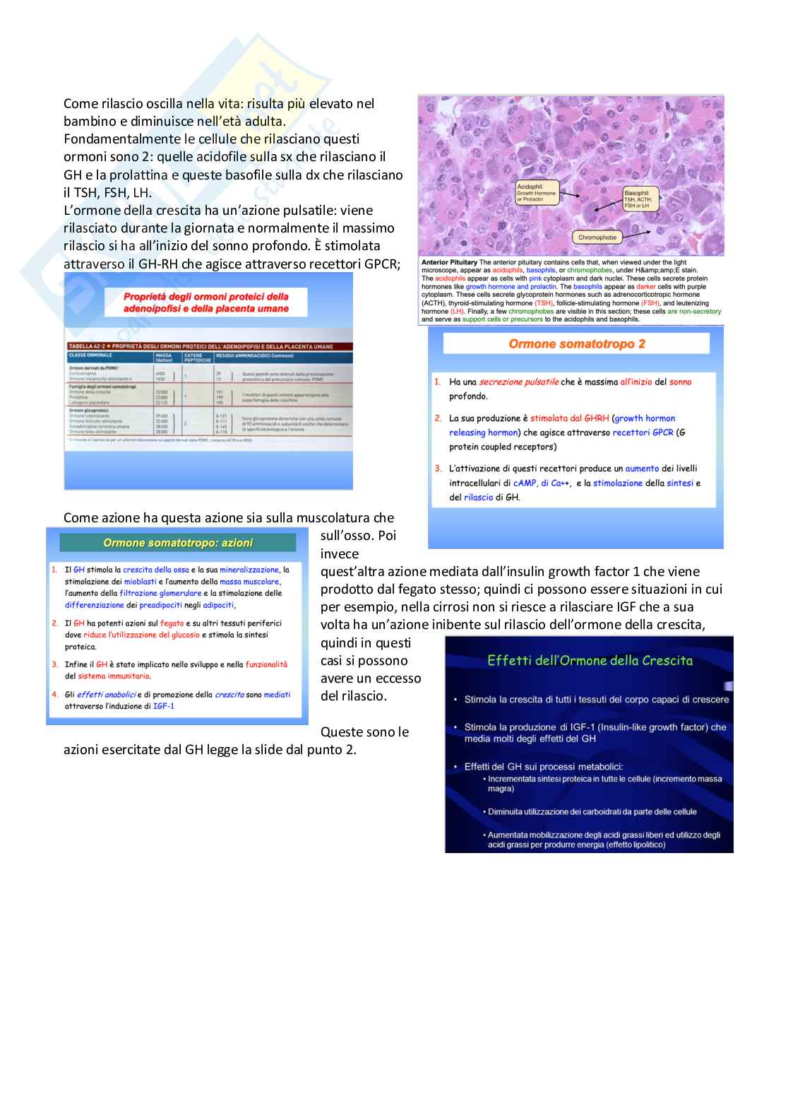 Farmacoterapia 2 - Parte 2 di 4 sugli ormoni Pag. 2