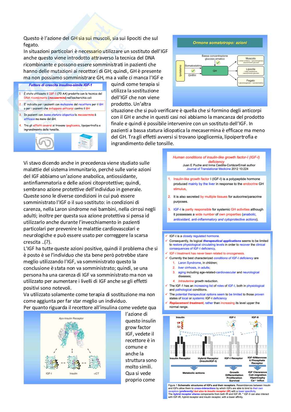 Farmacoterapia 2 - Parte 2 di 4 sugli ormoni Pag. 6