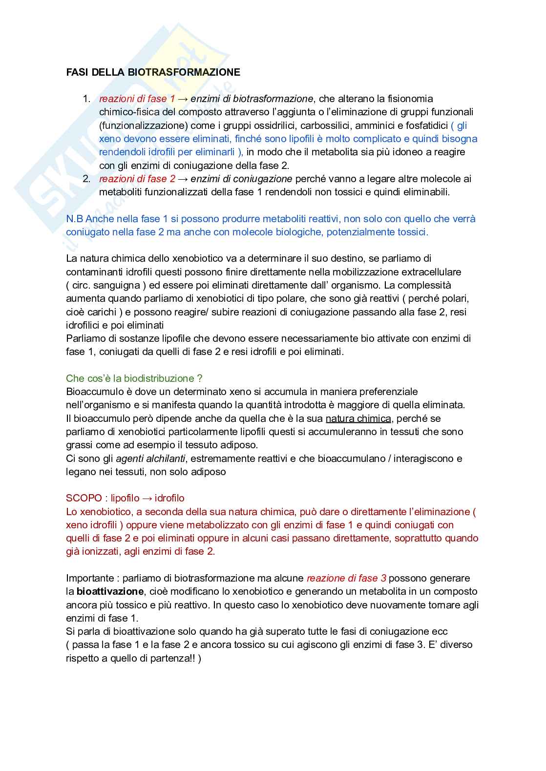 Fasi della biotrasformazione Pag. 1